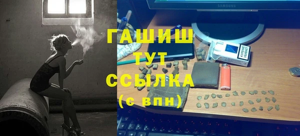 молекула духа Костерёво