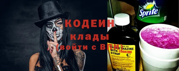 гидра Коряжма