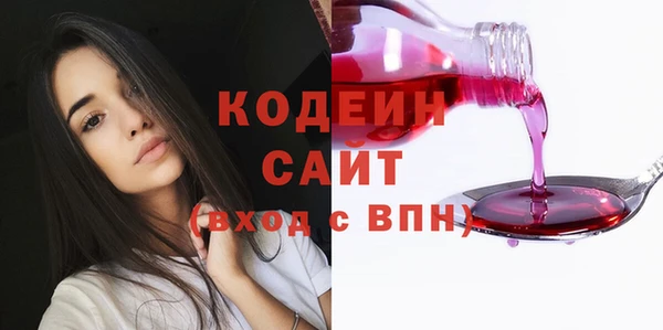 молекула духа Костерёво