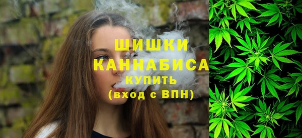 молекула духа Костерёво