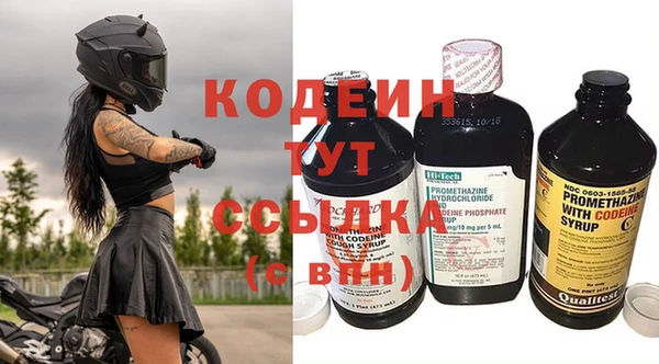 молекула духа Костерёво