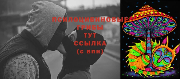 молекула духа Костерёво