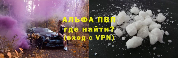 гидра Коряжма