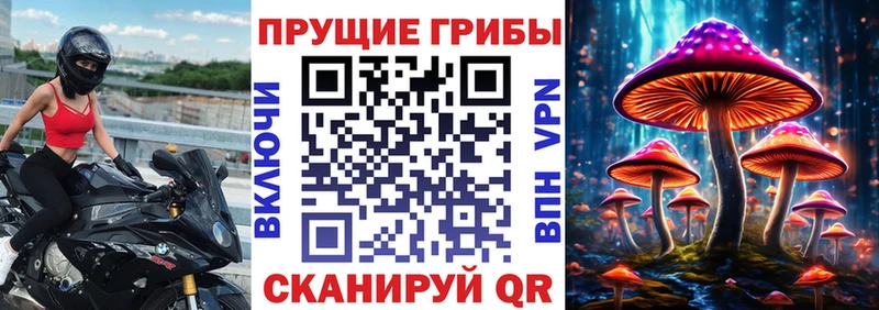Купить  Армавир  Галлюциногенные грибы Psilocybine cubensis 